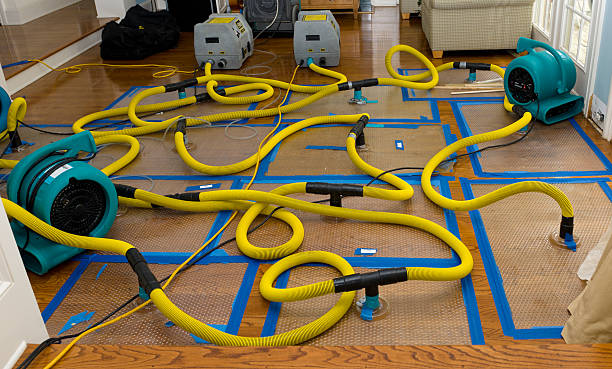Professional Water Damage Restoration technician working in Medicine Park, OK